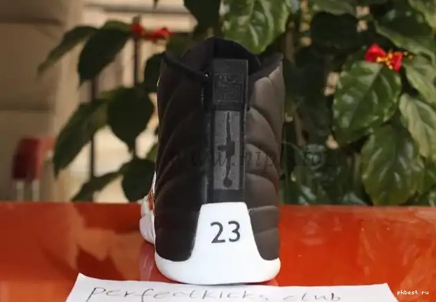 Air Retro Wings Jordan 12 Authentic 0519